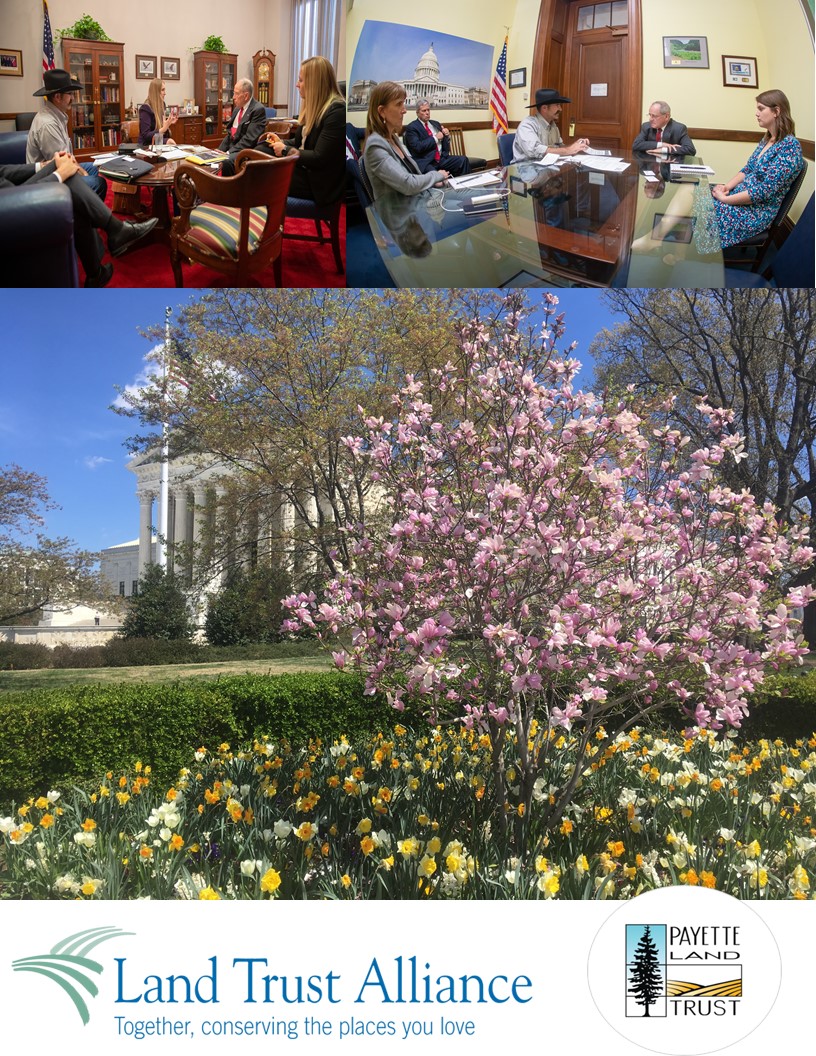 trip-to-dc